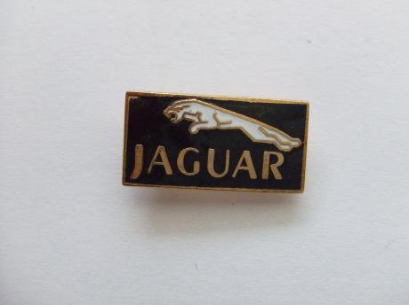 Jaguar sportwagen zwart emaille